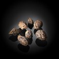 Seminte de Cardamom Negru Afumat, 50g - Le Comptoir des Poivres