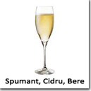 Vin Spumant, Cidru, Bere