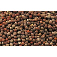 Seminte de Mustar Brun, 100 g - TRS