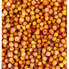 Fructe de Catina, Congelate, 2,5Kg - Stahl