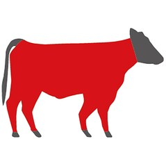 Carne Tocata de Vita Wagyu, Congelata, cca. 400g - Morgan Ranch, SUA