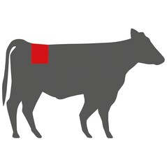 US Beef XXL Porterhouse Steak, Lucki Maurer Selection, Congelat, cca. 1,2Kg - SUA