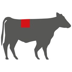 El Capricho T-Bone Vaca Vieja, Dry-Aged, Congelat, cca. 850g - Spania