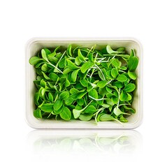 Microgreens “Limba Mielului”, germeni proaspeti, 50g - Vollgepackt