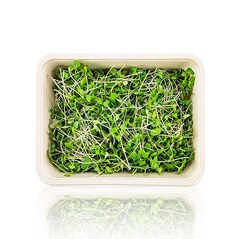 Microgreens “Mustar”, germeni proaspeti, 75g - Vollgepackt