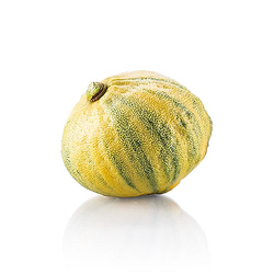 Lamaie Tigrata (Tiger Lemon) Proaspata, cca. 95g - Spania