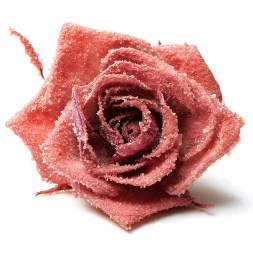 Flori de Trandafir Cristalizate, Premium Crystal, 12buc. - SOSA2
