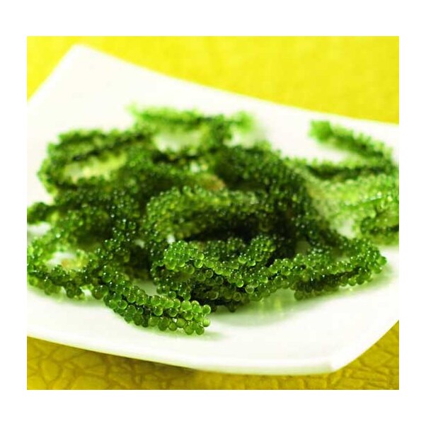 Agrise/Struguri/Caviar Verde de Mare, Umibudo de Okinawa (Caulerpa Lentillifera), Groseilles de Mer, 100g - Japonia