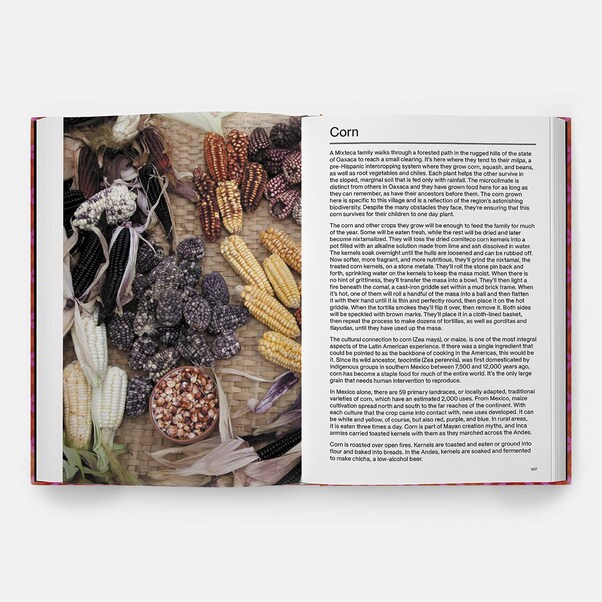 The Latin American Cookbook - Virgilio Martinez
