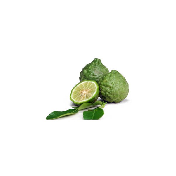 Aroma Naturala de Kaffir Lime, 1000 ml - SOSA